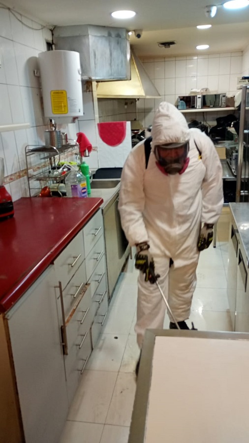 Control de plagas Vallenar